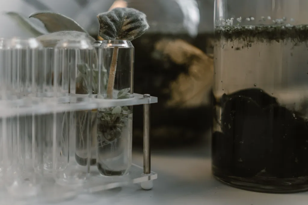 soil testing